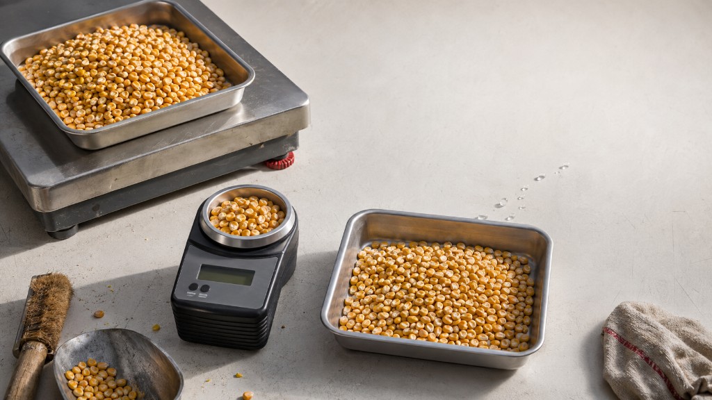 Échantillons de maïs, humidimètre à grain et matériel de pesée disposés sur un poste de contrôle de la qualité en meunerie.